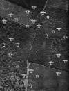 P-38s flying over France during WWII